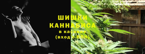 винт Майский