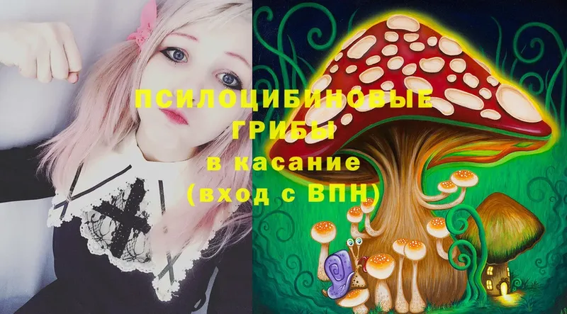 где продают   Заозёрный  Галлюциногенные грибы Magic Shrooms 