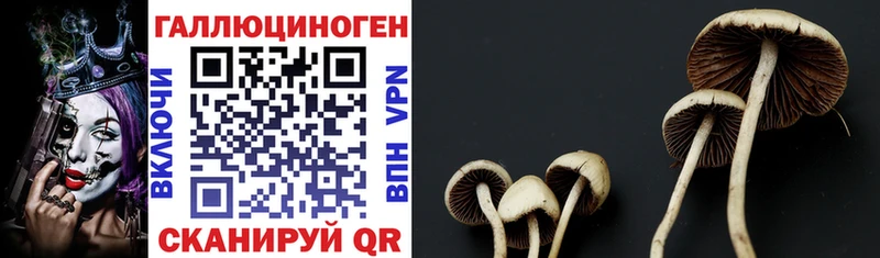 Галлюциногенные грибы Magic Shrooms  MEGA зеркало  Заозёрный 